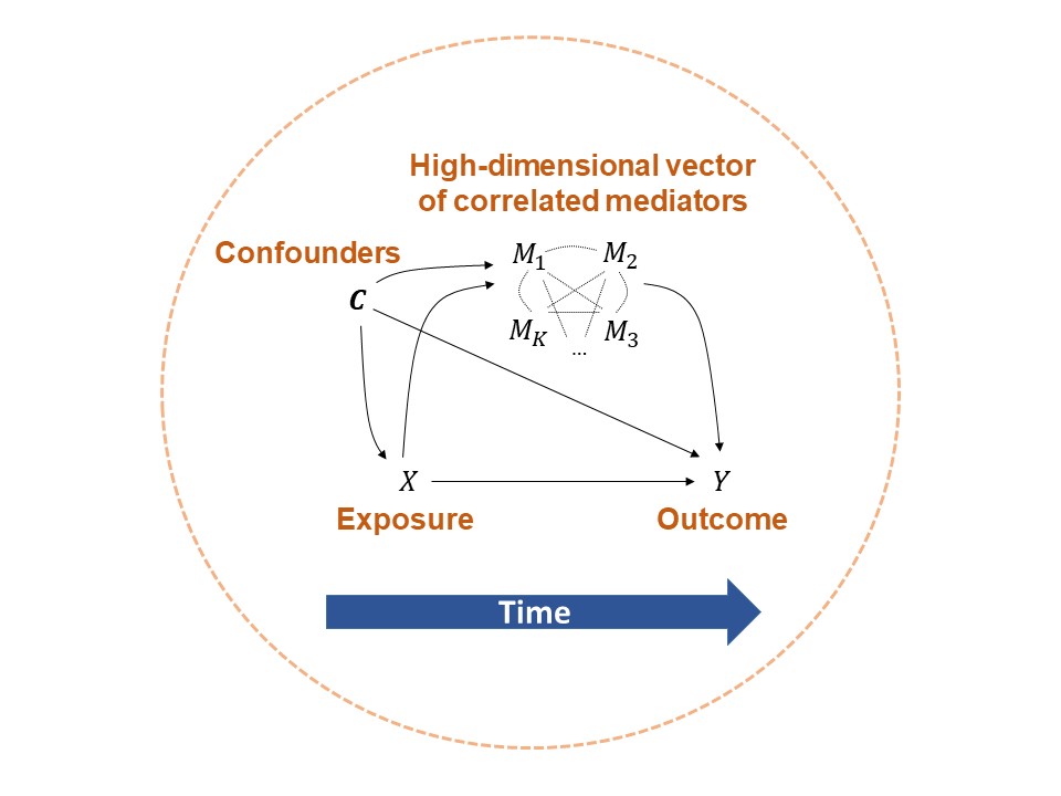 Causal inference